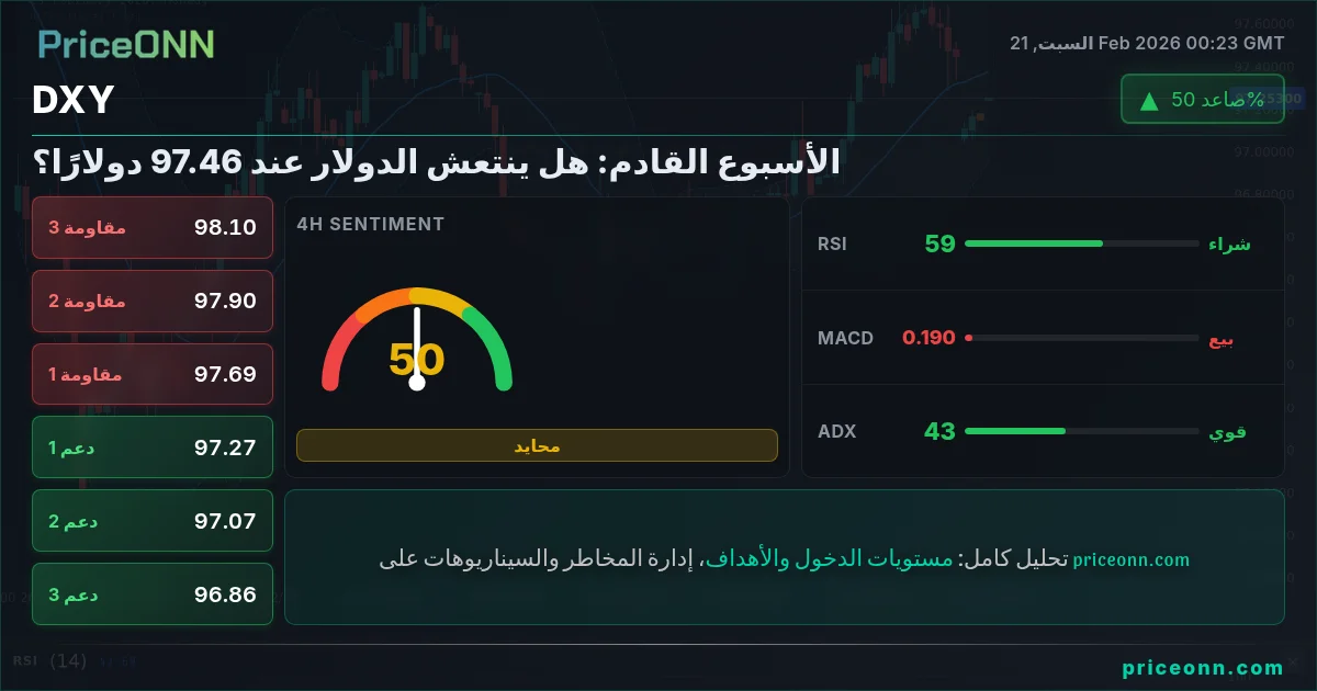 DXY Insight Card