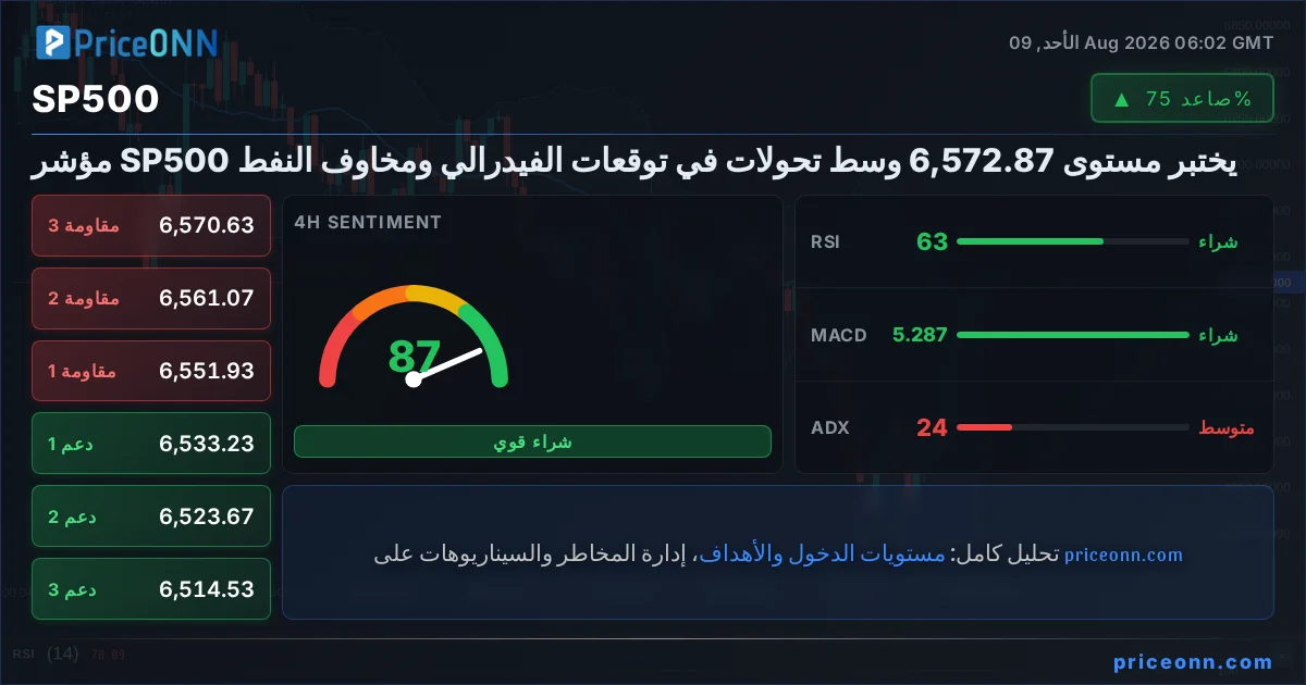 SP500 Insight Card