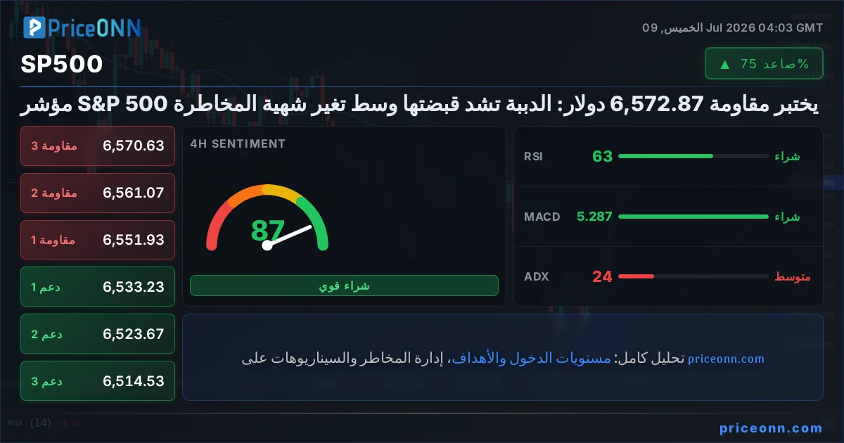 SP500 Insight Card