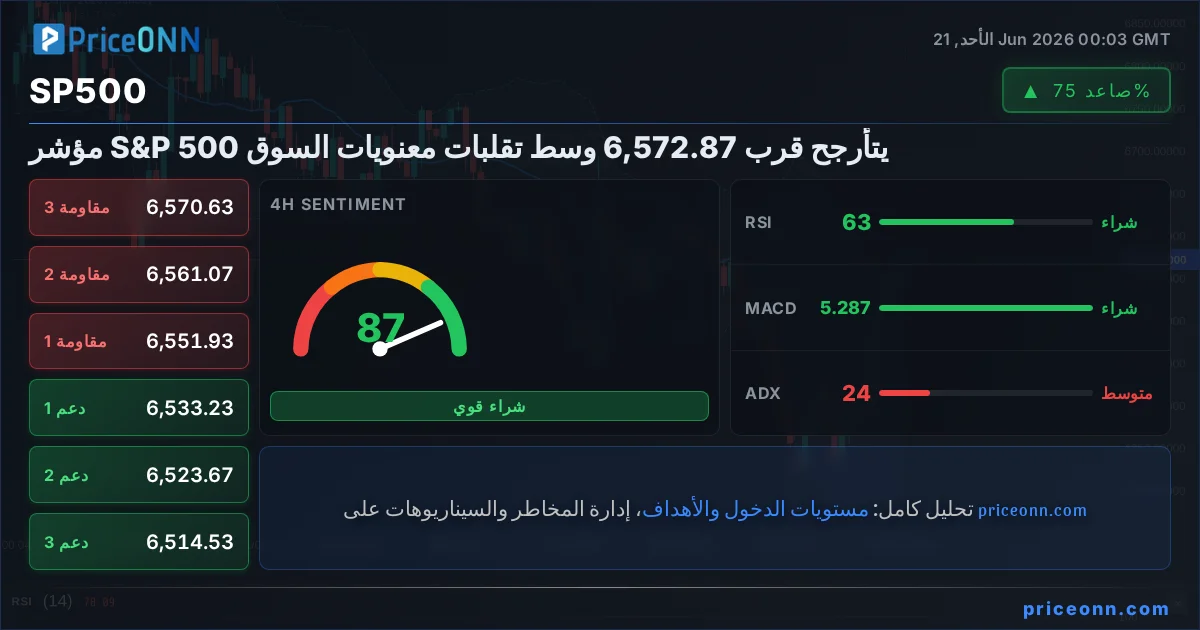 SP500 Insight Card