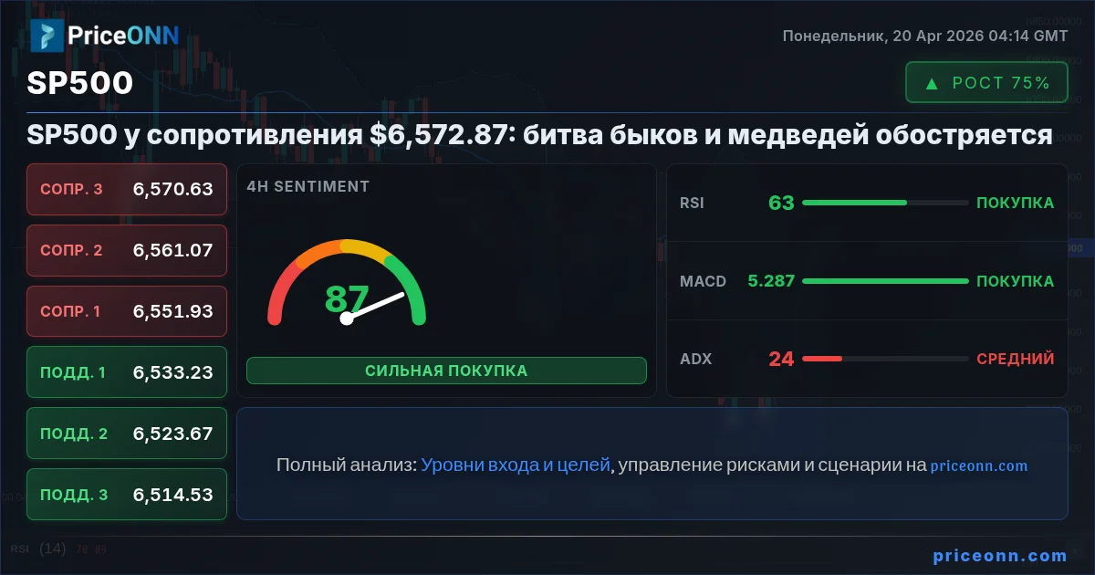 SP500 Insight Card
