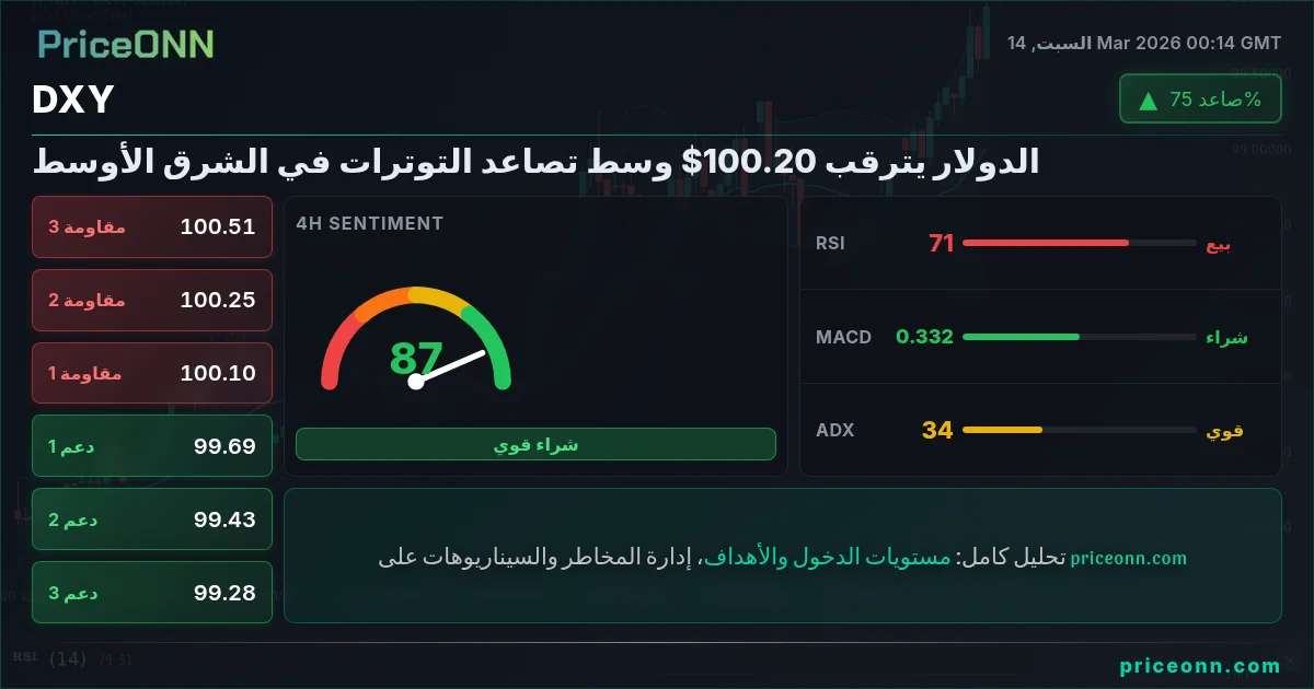 DXY Insight Card