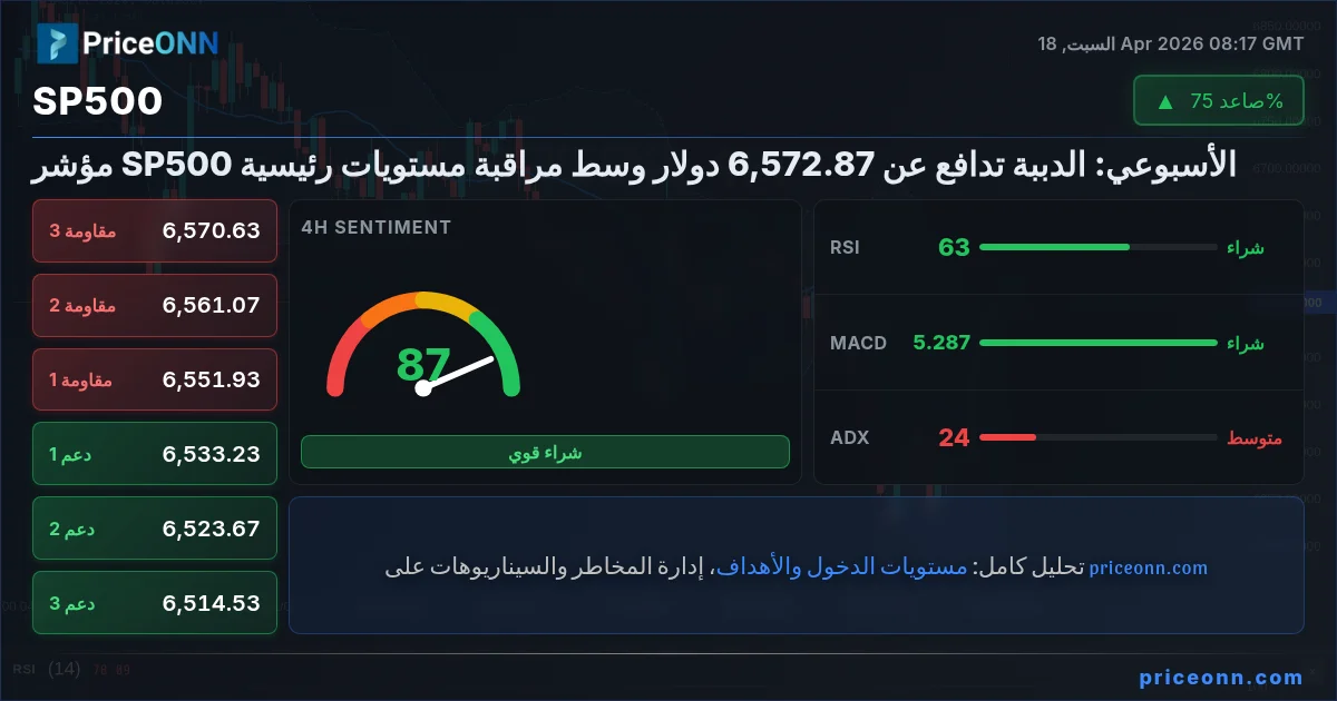 SP500 Insight Card