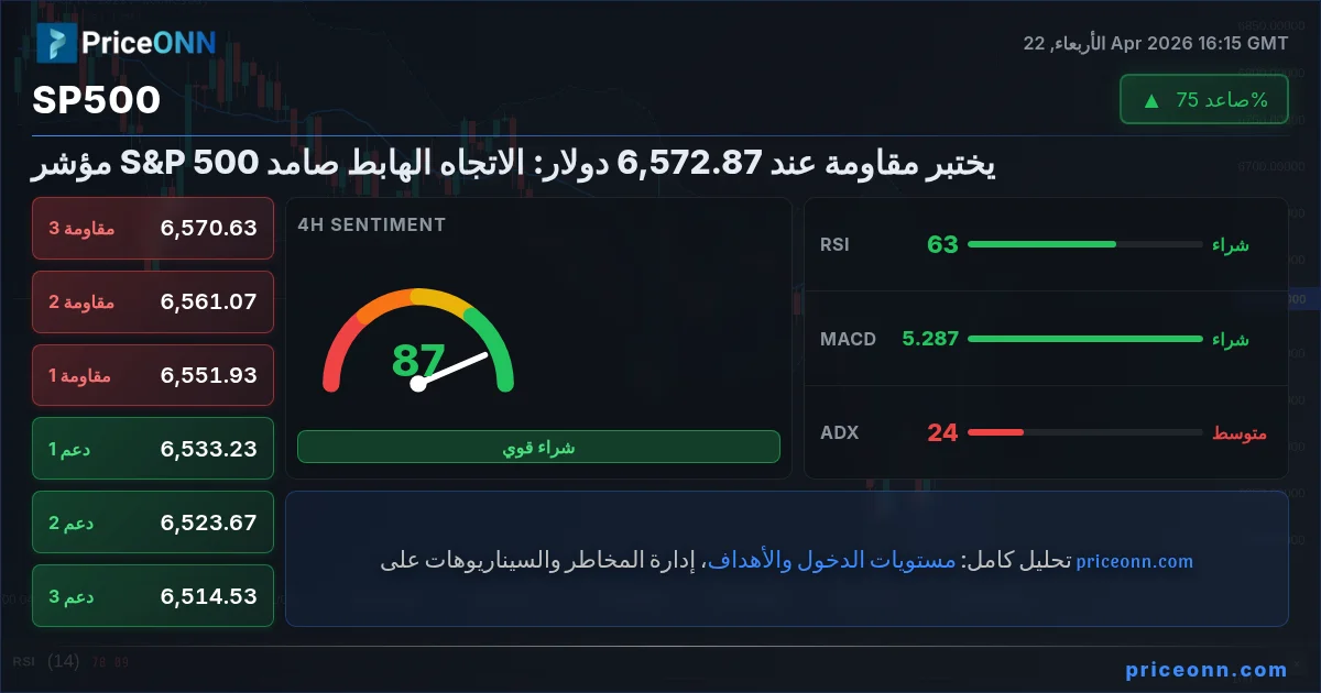 SP500 Insight Card