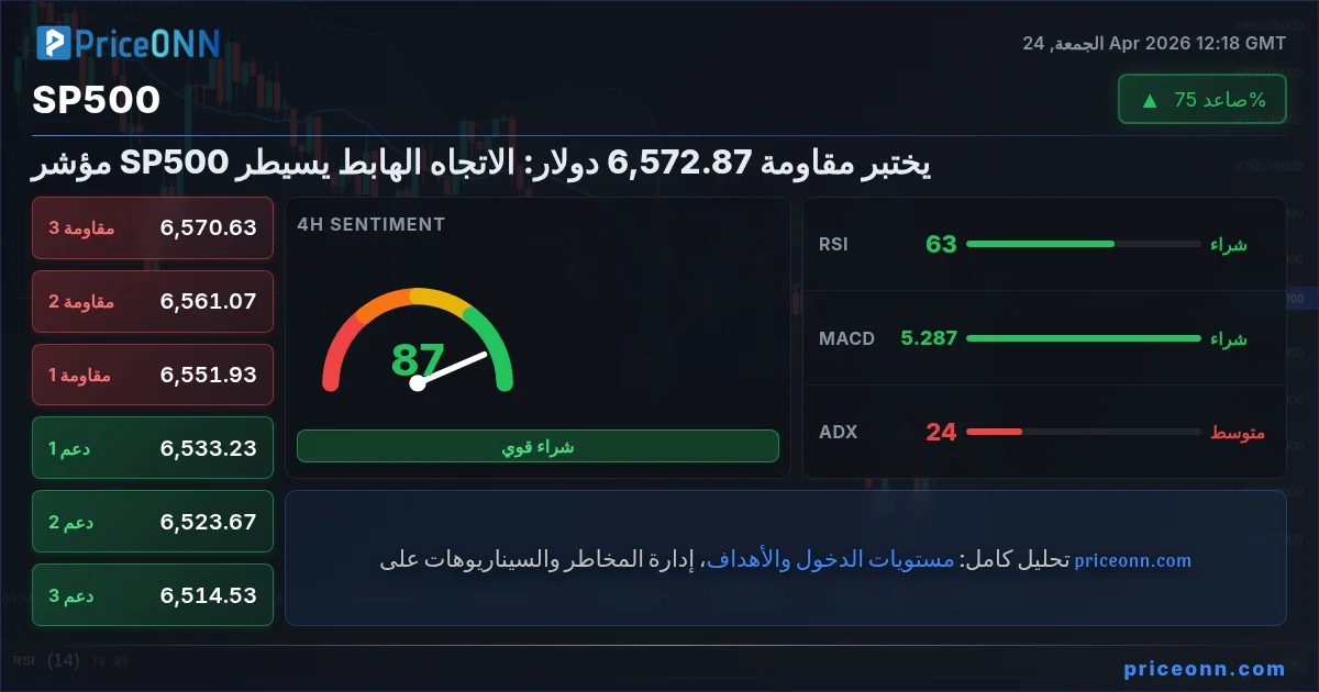SP500 Insight Card