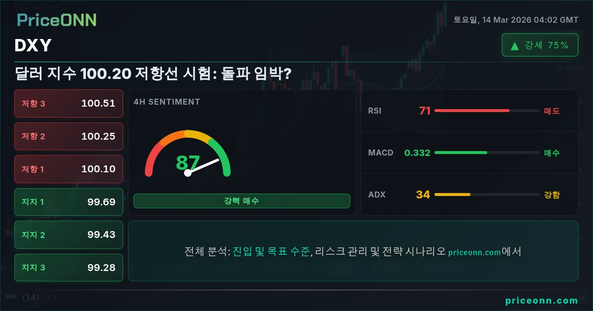 DXY Insight Card
