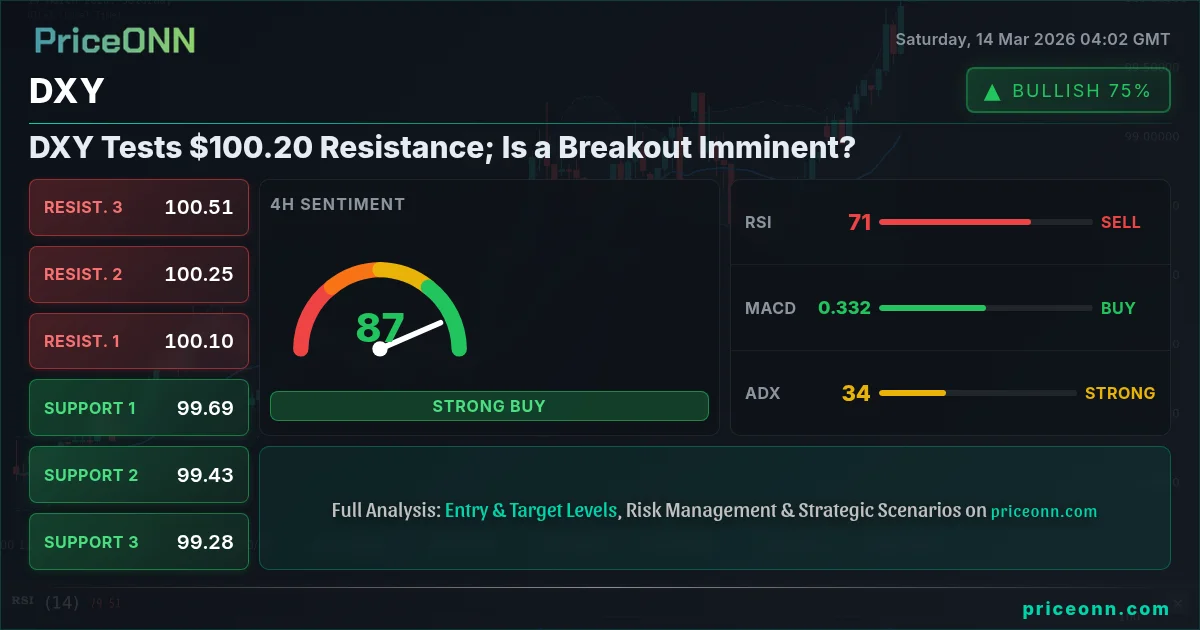 DXY Insight Card