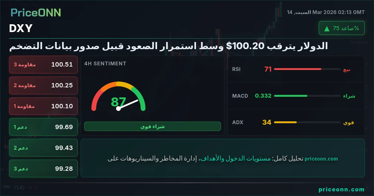 DXY Insight Card