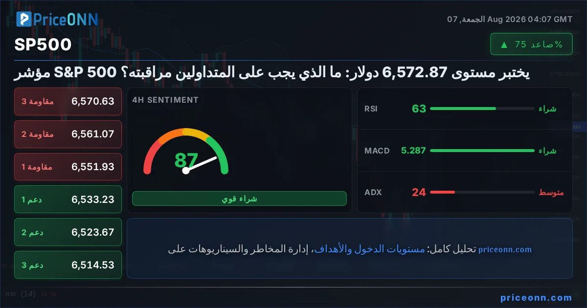 SP500 Insight Card
