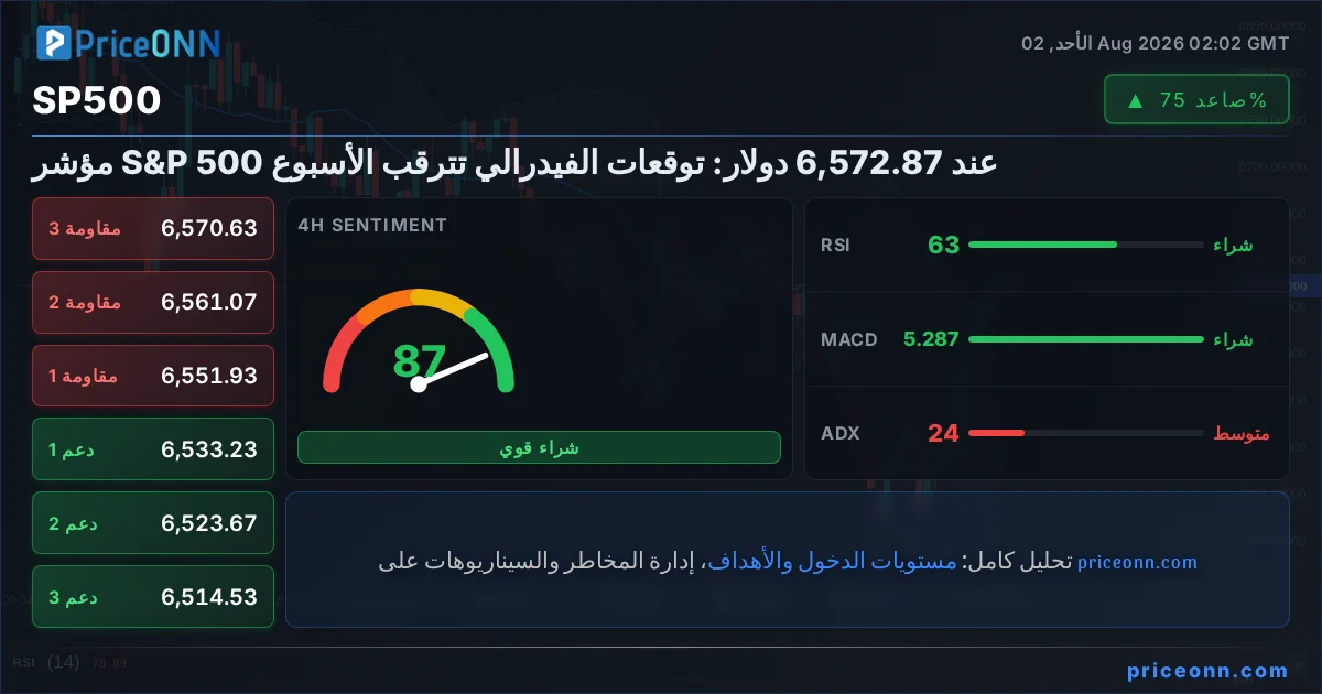 SP500 Insight Card