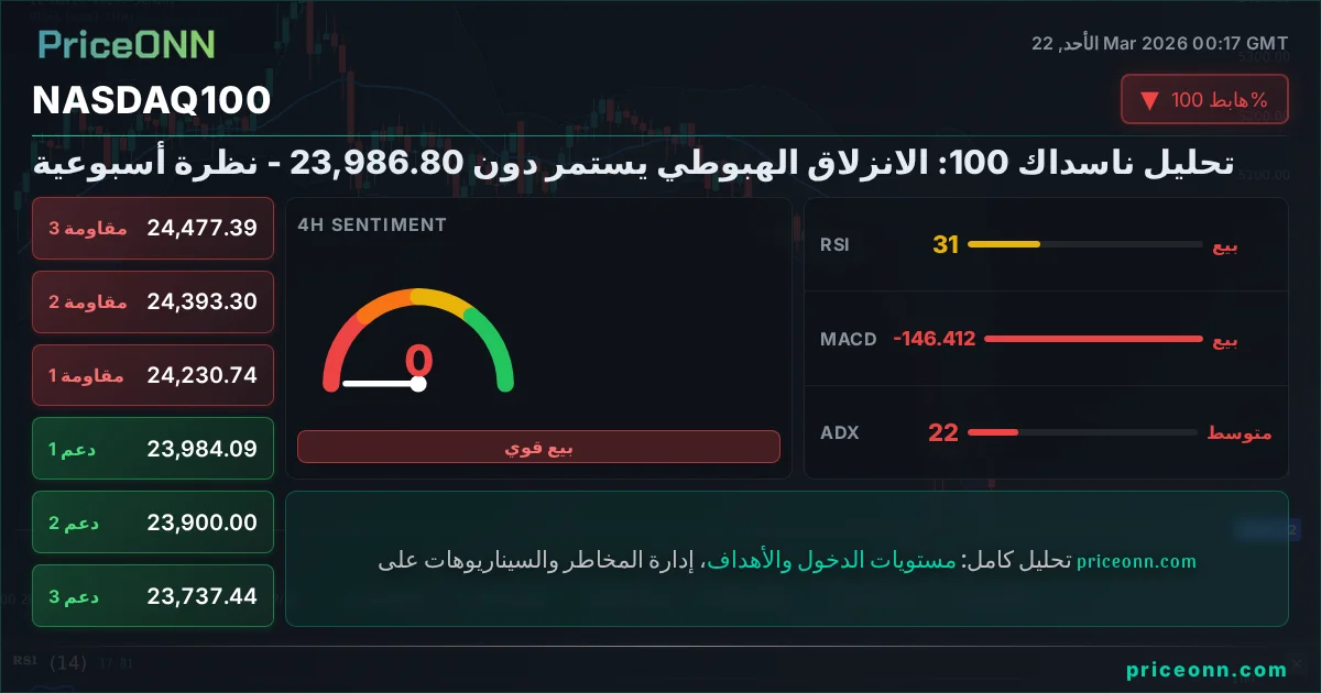 Nasdaq100 Insight Card