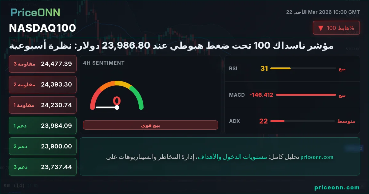 Nasdaq100 Insight Card