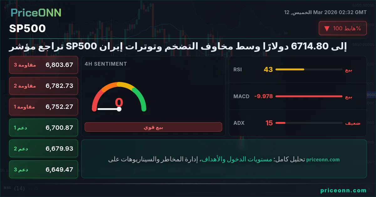 SP500 Insight Card