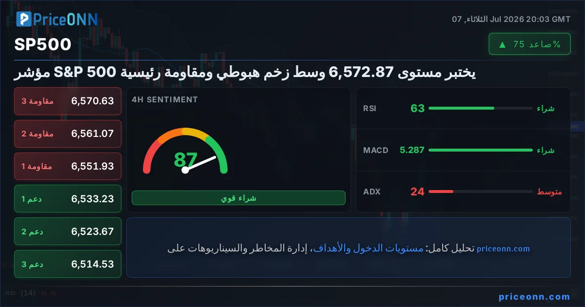 SP500 Insight Card