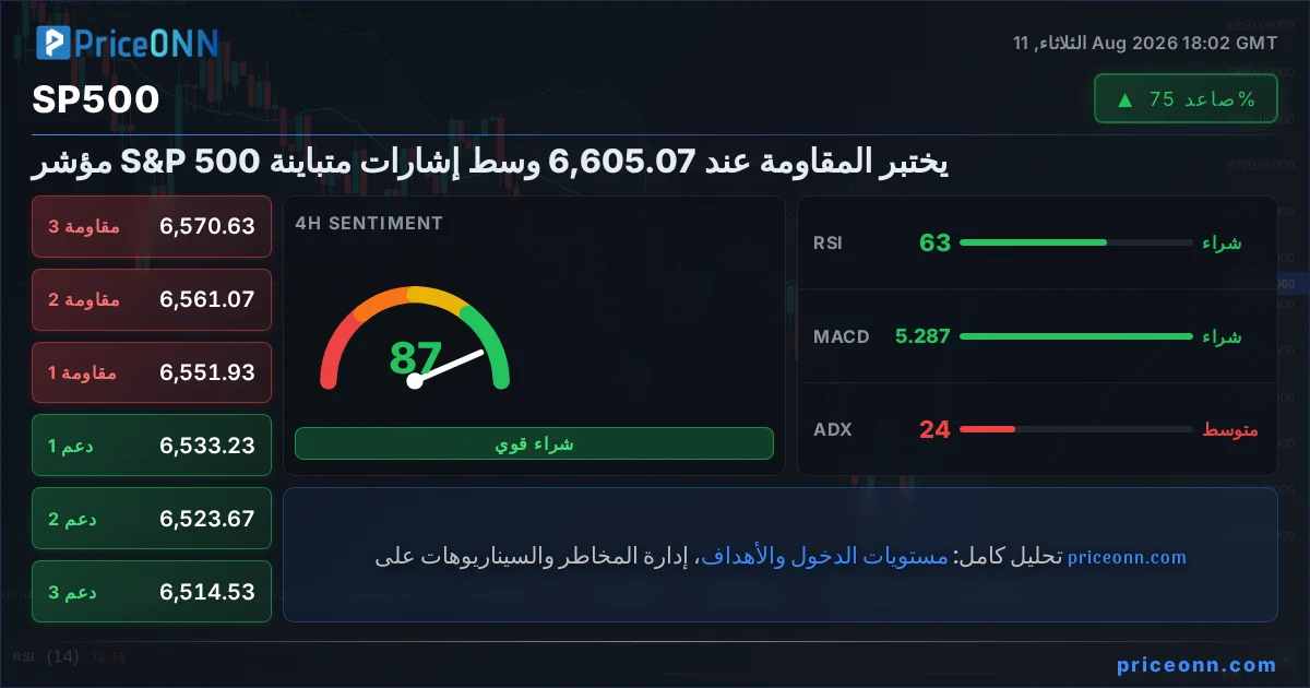 SP500 Insight Card