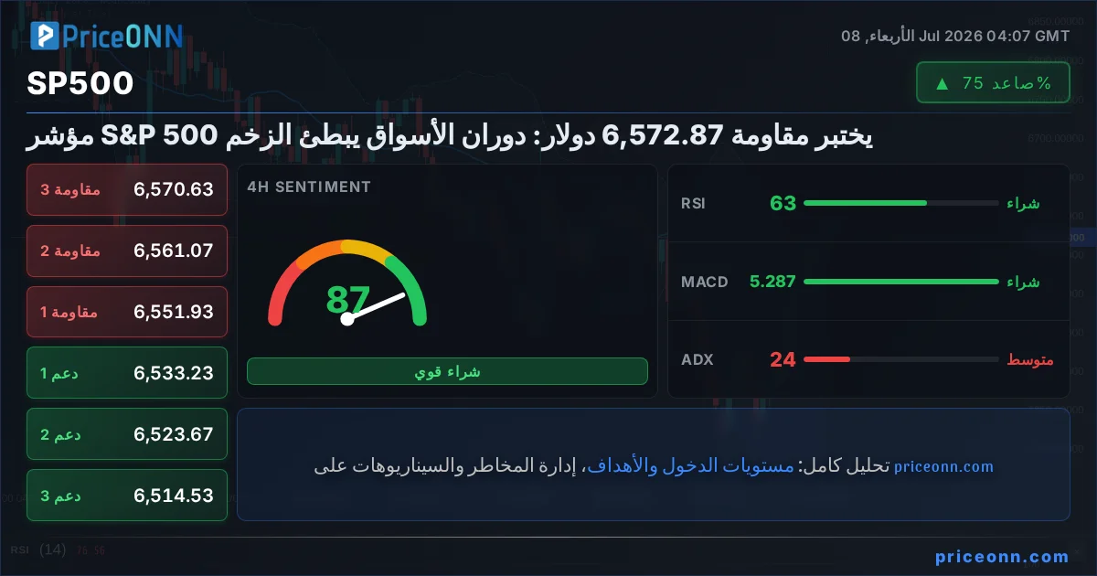 SP500 Insight Card