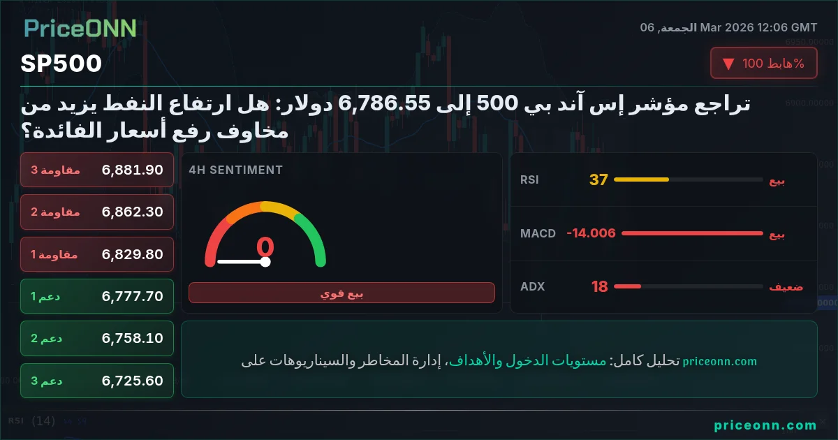 SP500 Insight Card