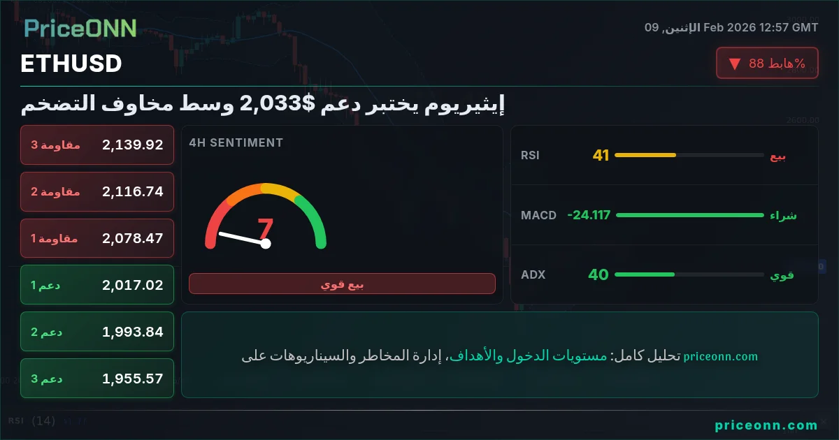  Insight Card