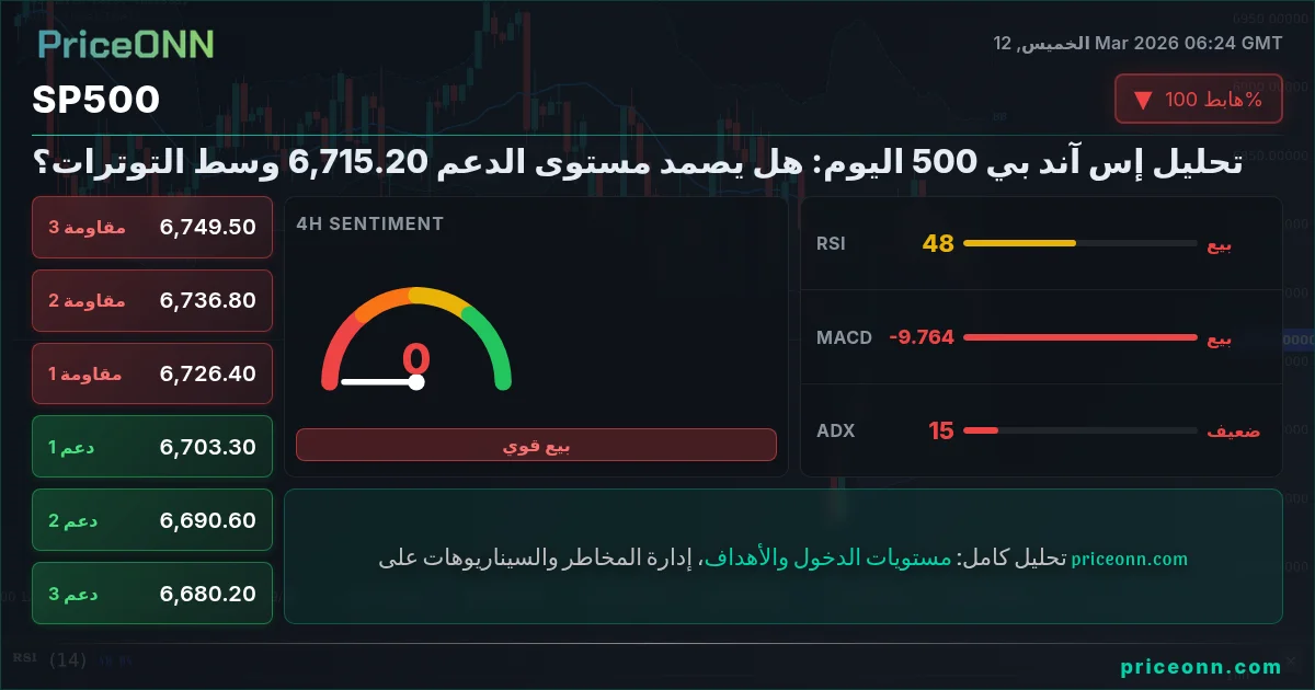 SP500 Insight Card
