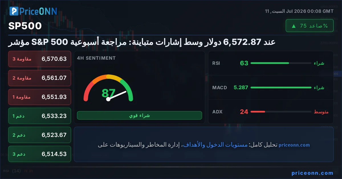 SP500 Insight Card
