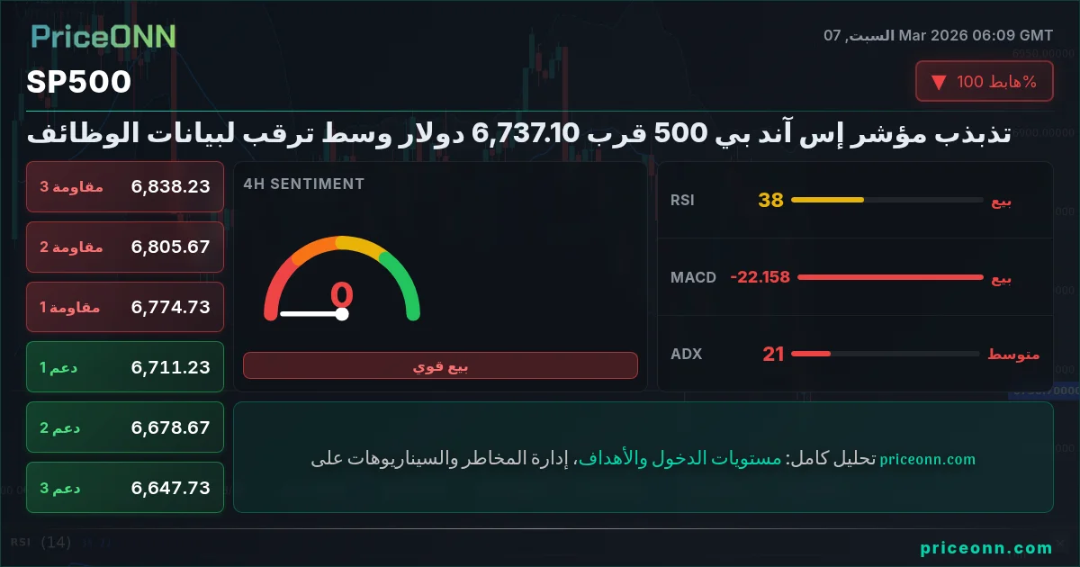 SP500 Insight Card