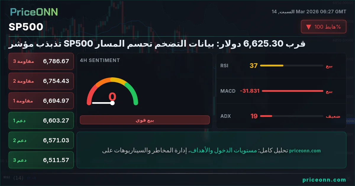 SP500 Insight Card