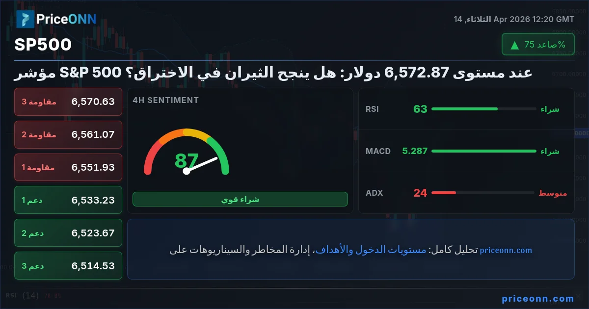 SP500 Insight Card