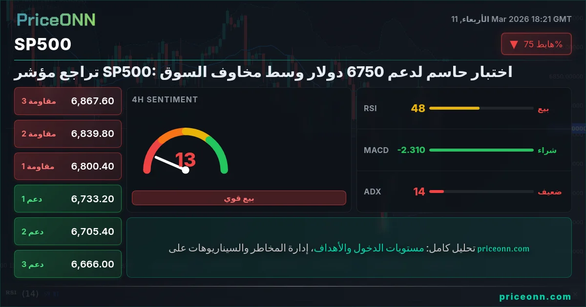 SP500 Insight Card