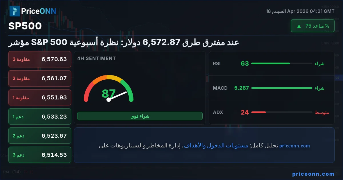 SP500 Insight Card