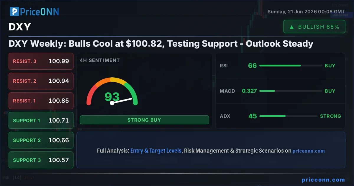DXY Insight Card