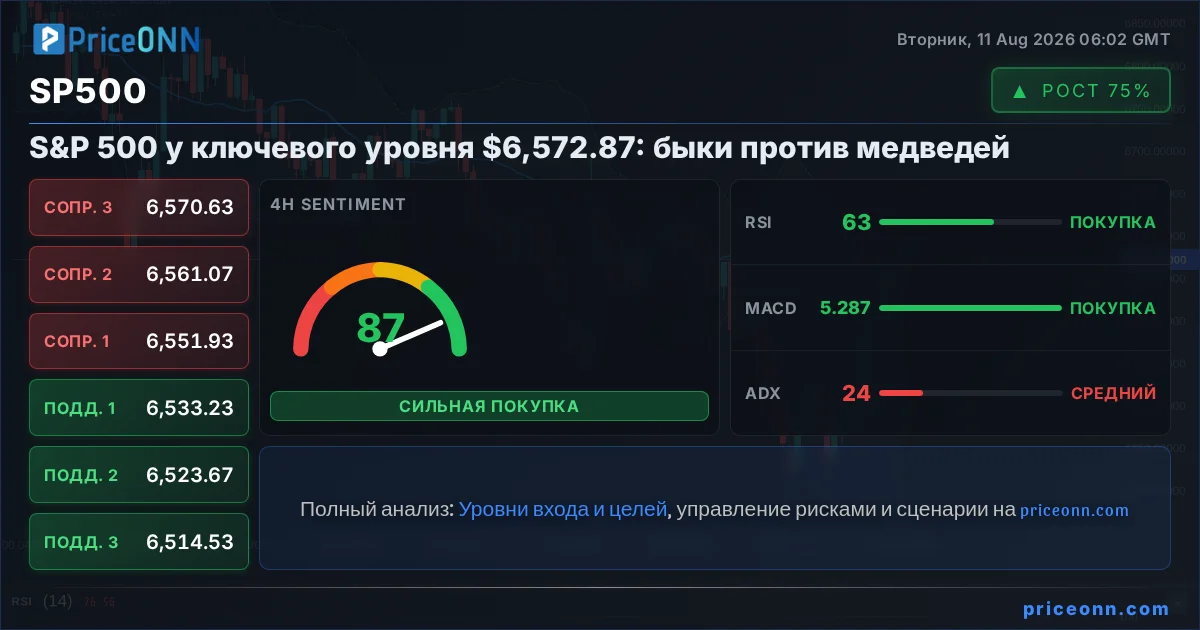 SP500 Insight Card