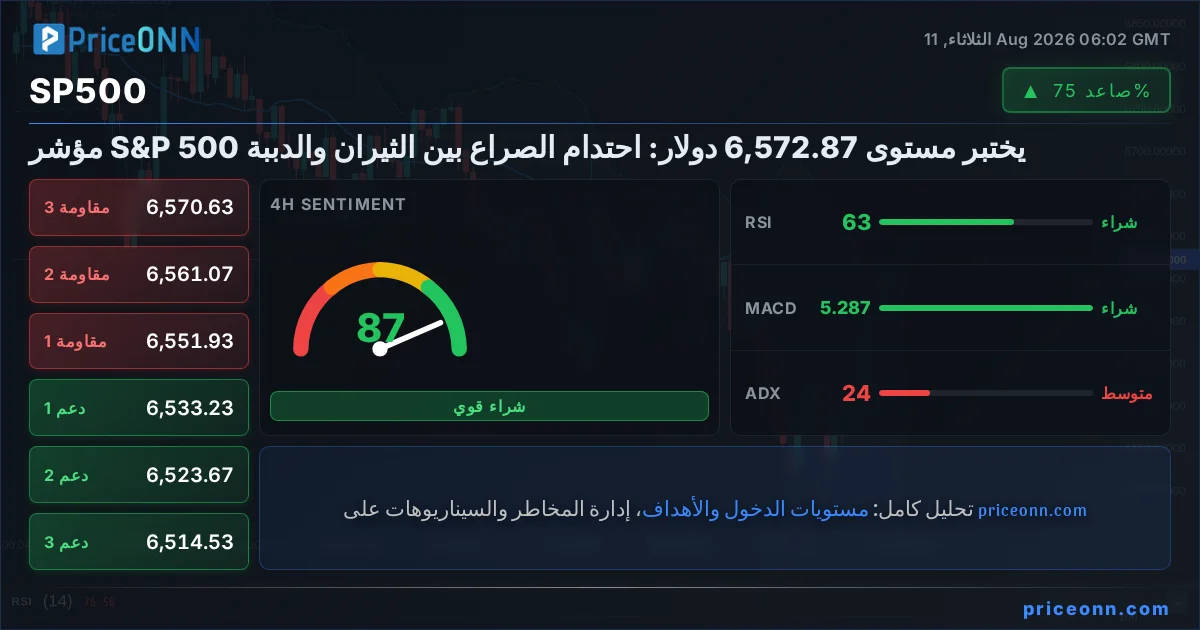 SP500 Insight Card