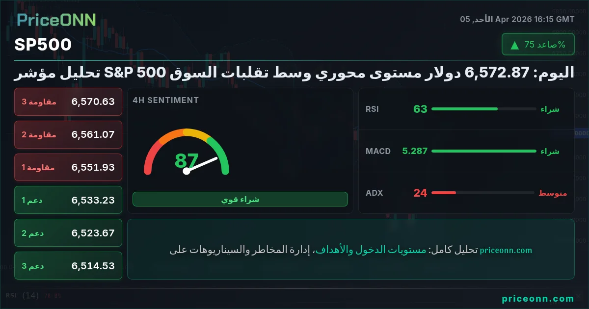 SP500 Insight Card