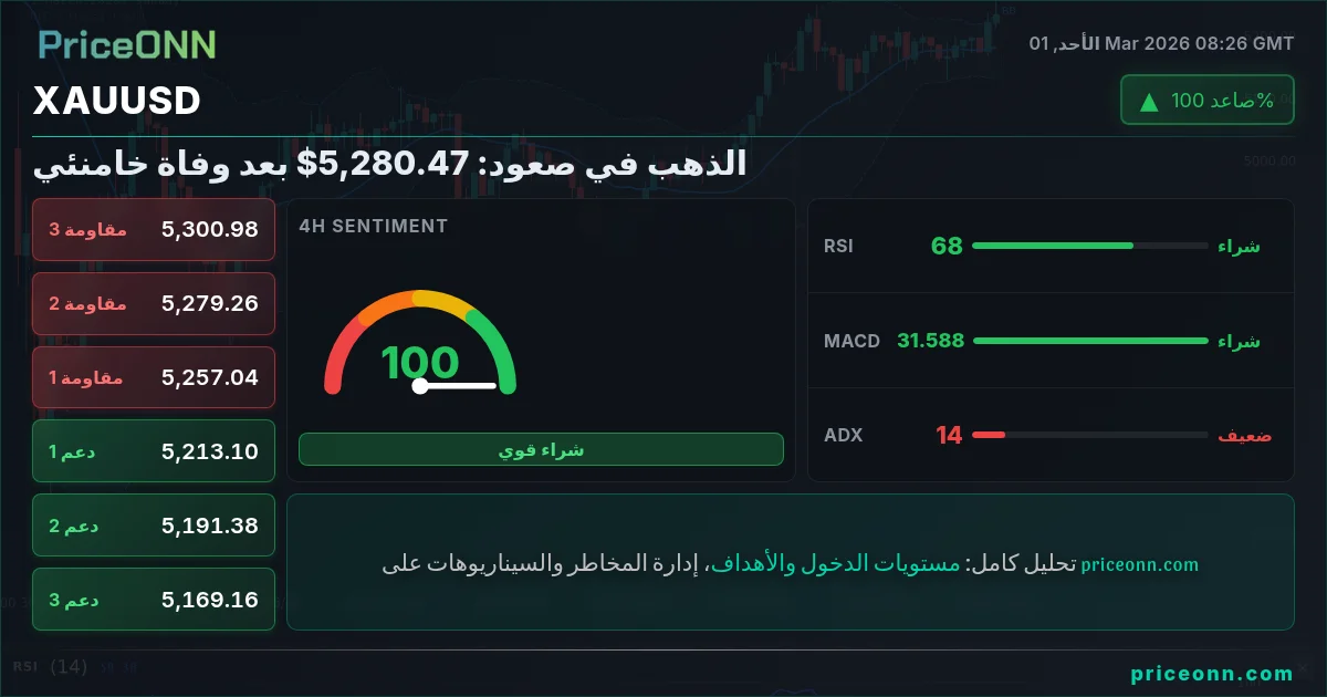 XAUUSD Insight Card