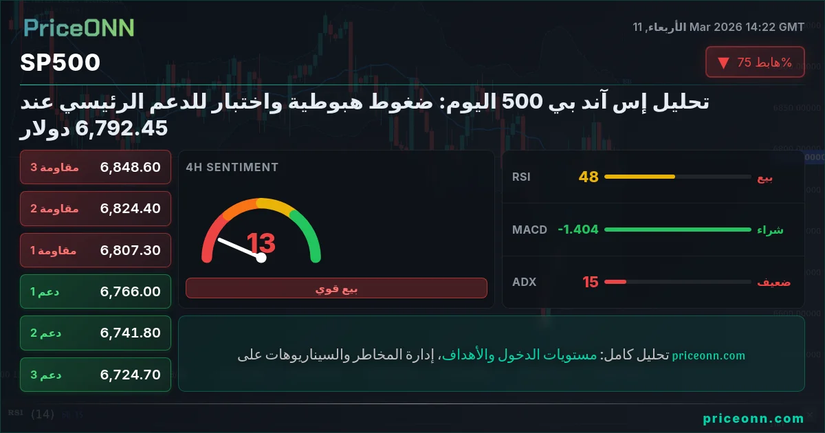 SP500 Insight Card