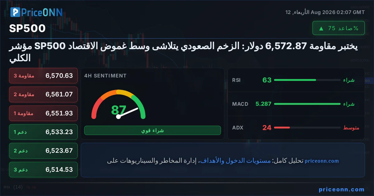 SP500 Insight Card