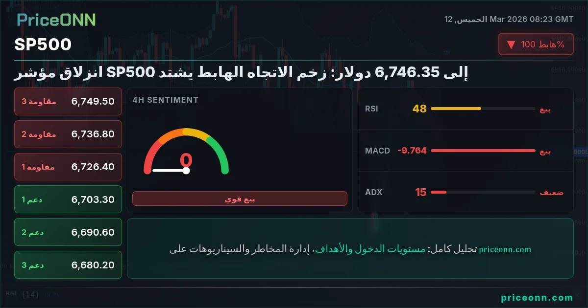 SP500 Insight Card
