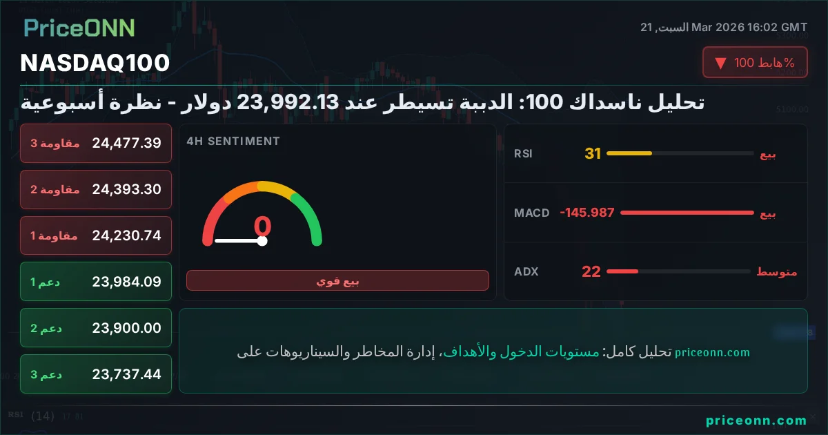 Nasdaq100 Insight Card