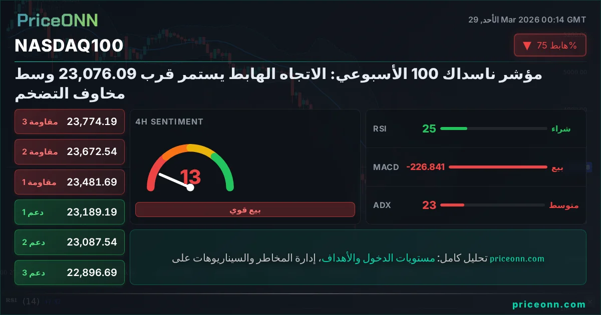 Nasdaq100 Insight Card