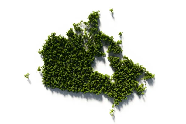 カナダ失業率上昇：市場への影響